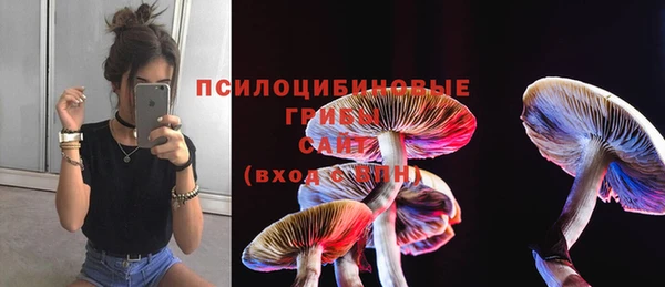 эйфоретик Богородск