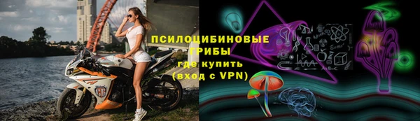 хмурый Богородицк