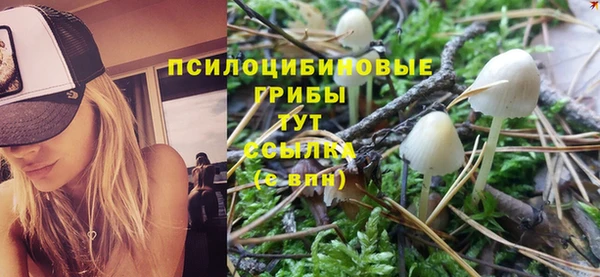 гашиш Белокуриха