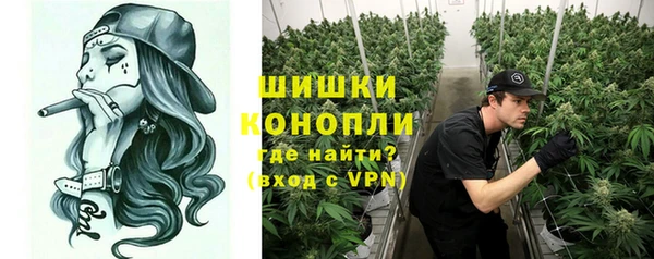 мдпв Богданович