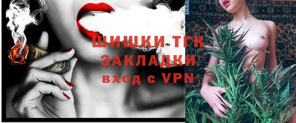 хмурый Богородицк