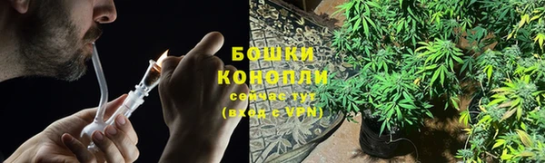мдпв Богданович