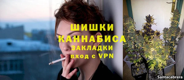 эйфоретик Богородск